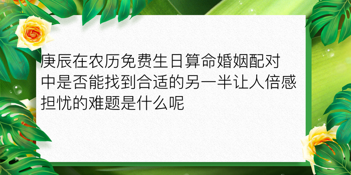 汽车牌照号码吉凶游戏截图