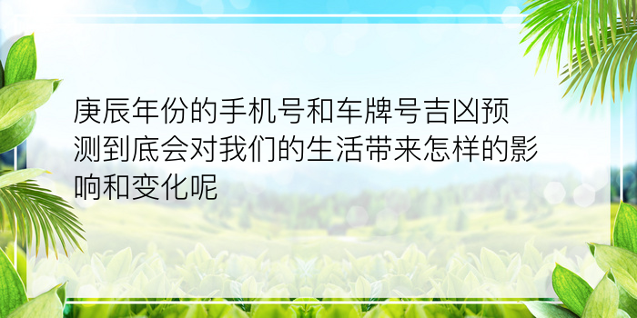 庚辰年份的手机号和车牌号吉凶预测到底会对我们的生活带来怎样的影响和变化呢