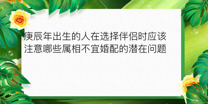 年份生日配对游戏截图