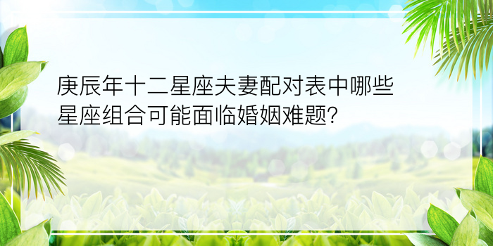 庚辰年十二星座夫妻配对表中哪些星座组合可能面临婚姻难题？