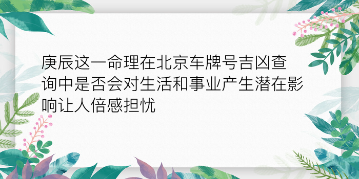 庚辰这一命理在北京车牌号吉凶查询中是否会对生活和事业产生潜在影响让人倍感担忧