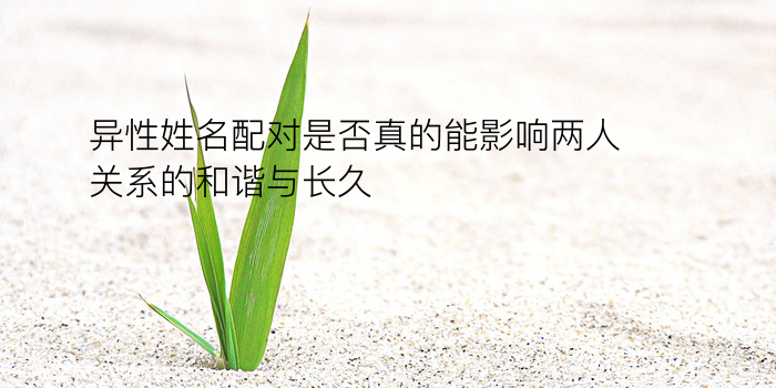 车牌号码吉凶测游戏截图