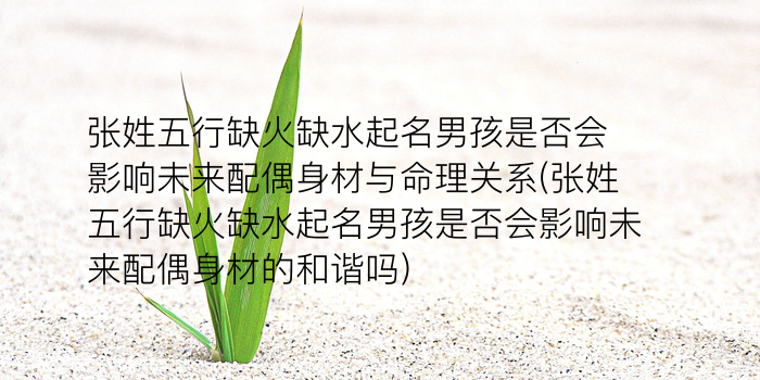 何涛同名同姓游戏截图