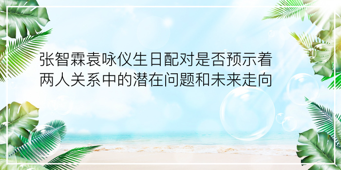 测试车牌号码吉凶打分游戏截图