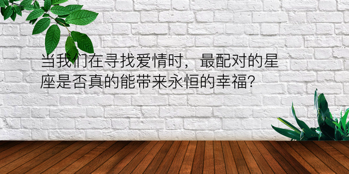 当我们在寻找爱情时，最配对的星座是否真的能带来永恒的幸福？