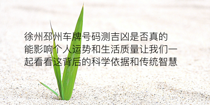 车牌号字母吉凶游戏截图