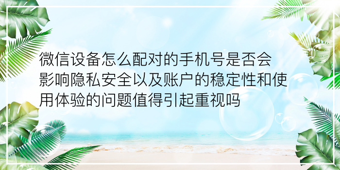 车牌照预测吉凶游戏截图