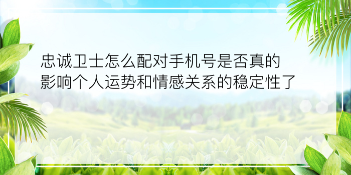 忠诚卫士怎么配对手机号是否真的影响个人运势和情感关系的稳定性了呢