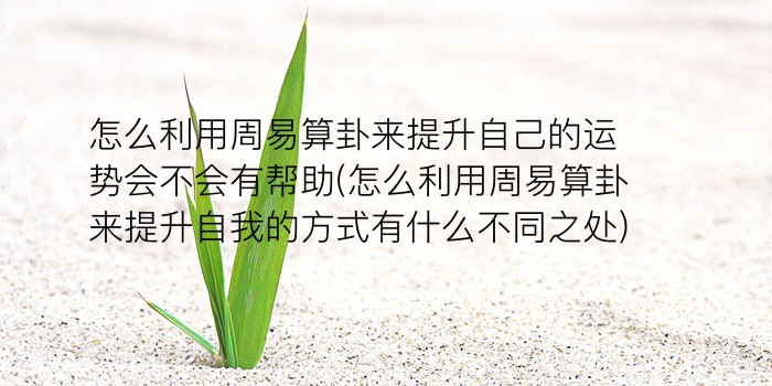 诸葛测字凶吉查询游戏截图