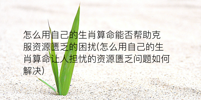 算命暗财指的是什么生肖游戏截图