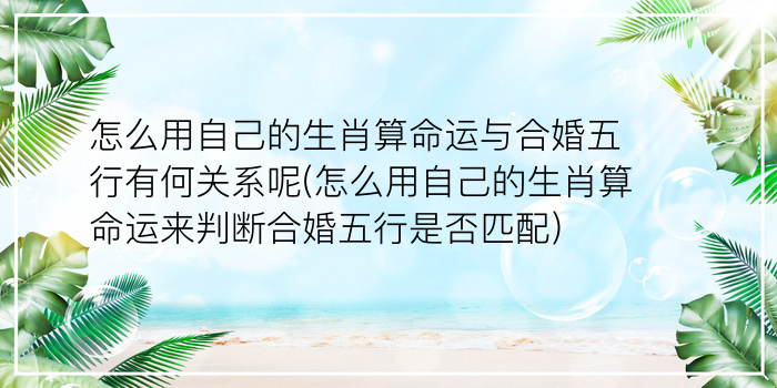 会算命生肖游戏截图