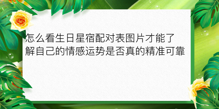 二零二算运网