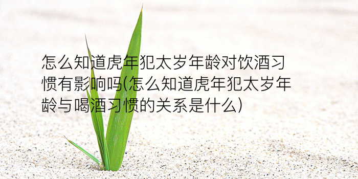 本命年套装游戏截图