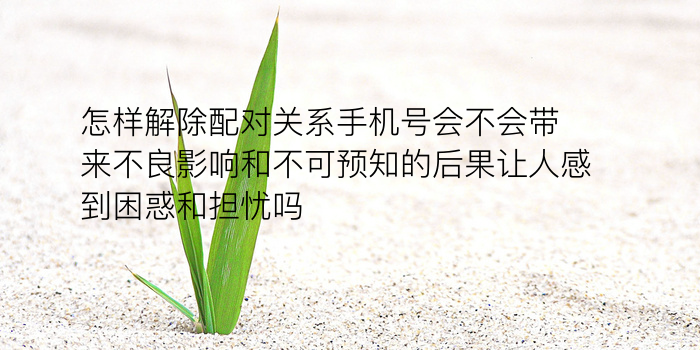 周易车牌号码吉凶测试游戏截图