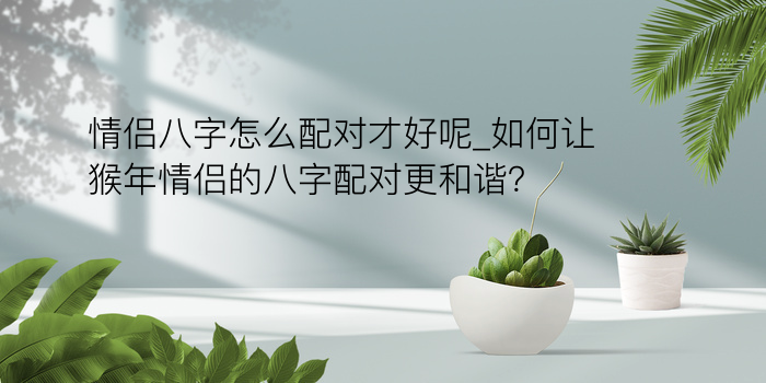 拆八字算命游戏截图