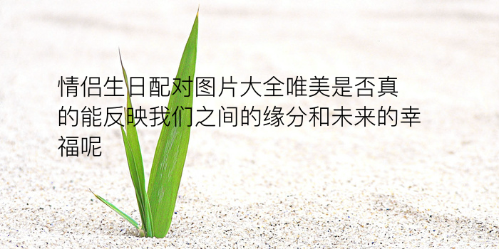 姓名星座生日配对游戏截图