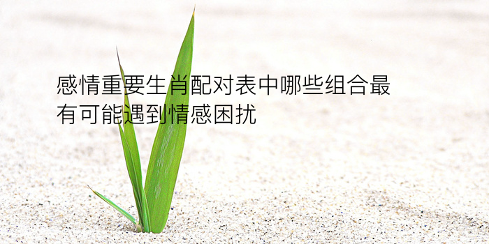 姓名配对游戏游戏截图