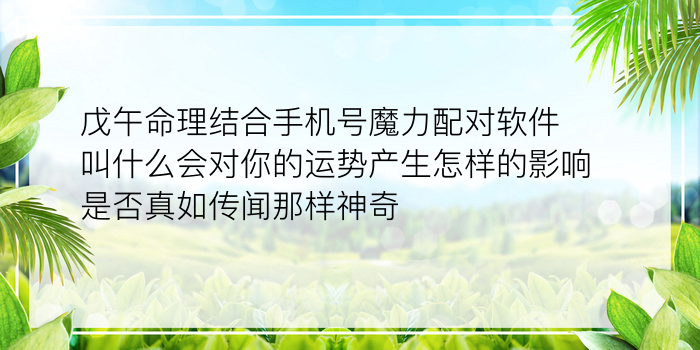 苹果11配对华为6手机号游戏截图