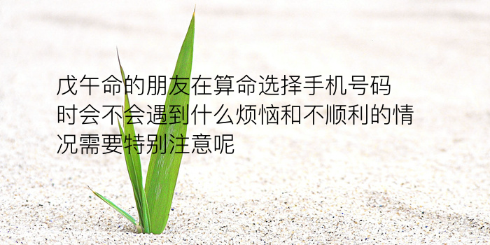 生日姓名配对姻缘测试游戏截图