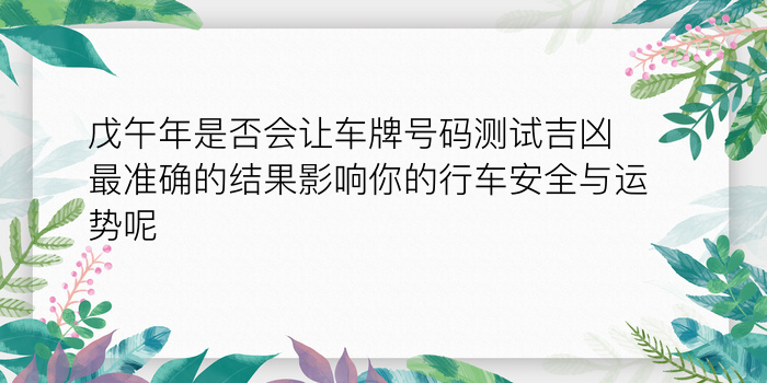 子女生肖与父母配对游戏截图