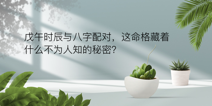 戊午时辰与八字配对，这命格藏着什么不为人知的秘密？