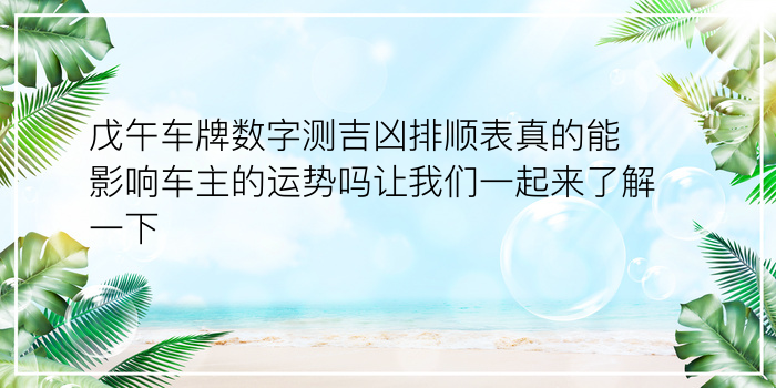 戊午车牌数字测吉凶排顺表真的能影响车主的运势吗让我们一起来了解一下