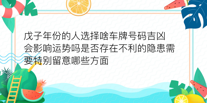 299车牌号码测吉凶打分游戏截图