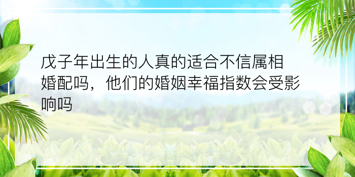 戊子年出生的人真的适合不信属相婚配吗，他们的婚姻幸福指数会受影响吗