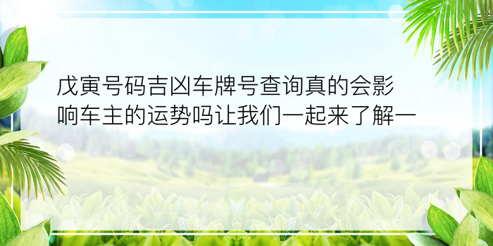 戊寅号码吉凶车牌号查询真的会影响车主的运势吗让我们一起来了解一下