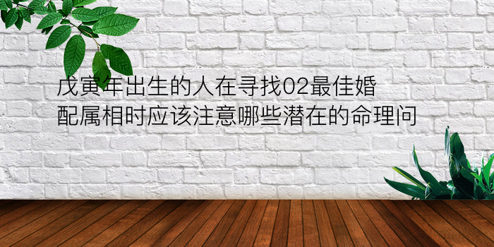 戊寅年出生的人在寻找02最佳婚配属相时应该注意哪些潜在的命理问题