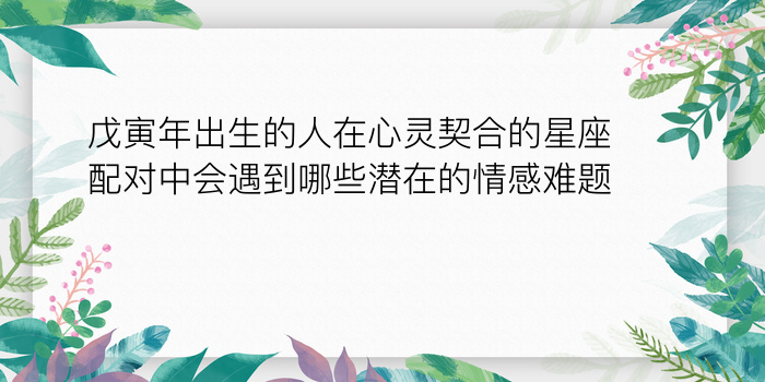 93年配对的属相婚配表游戏截图