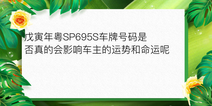 戊寅年粤SP695S车牌号码是否真的会影响车主的运势和命运呢