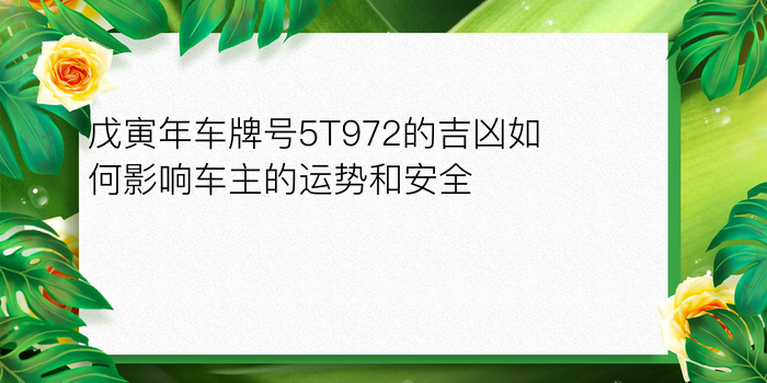 戊寅年车牌号5T972的吉凶如何影响车主的运势和安全