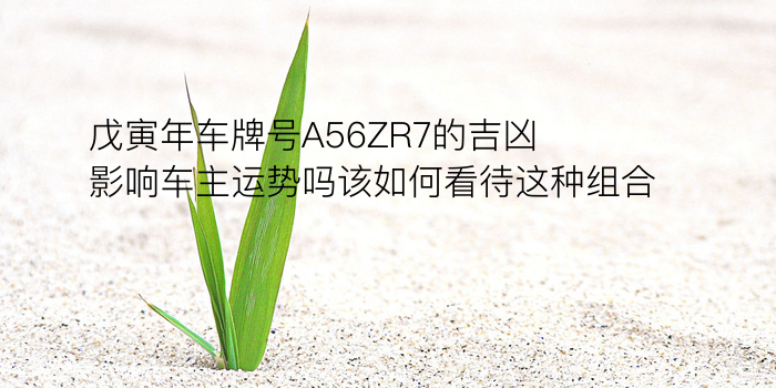 SY777命理网