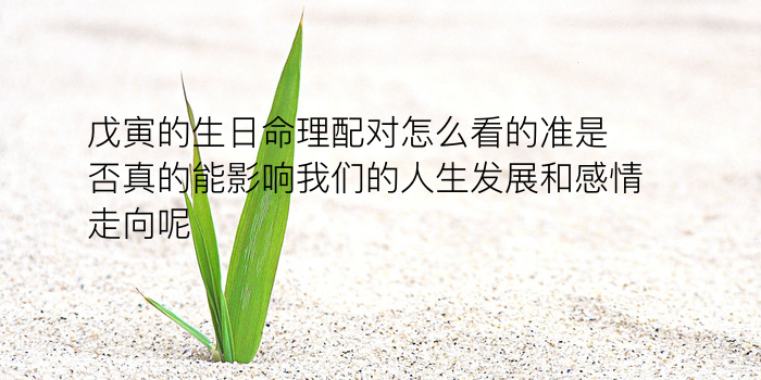 算车牌号吉凶游戏截图