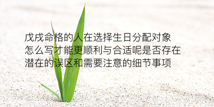 测试姓名配对头像游戏截图