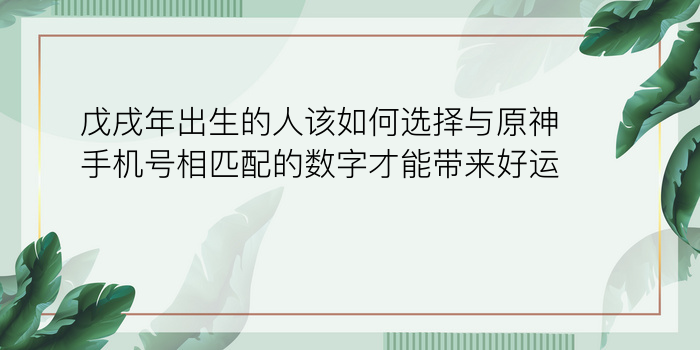 戊戌年出生的人该如何选择与原神手机号相匹配的数字才能带来好运