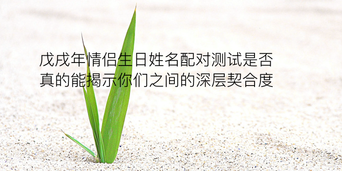 生日八字配对游戏截图