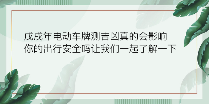 车牌号码测吉凶查询表游戏截图