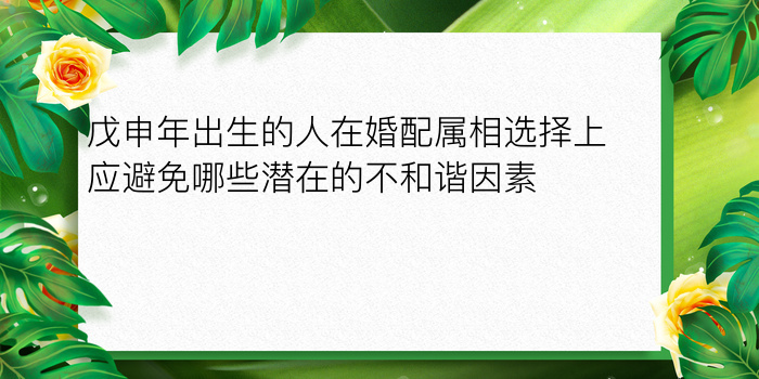 戊申年出生的人在婚配属相选择上应避免哪些潜在的不和谐因素