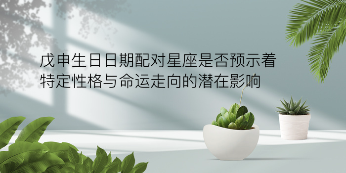 生日婚姻配对游戏截图