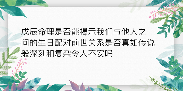 车牌号查询吉凶周易游戏截图