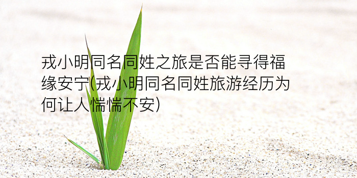 吕起名字女孩游戏截图