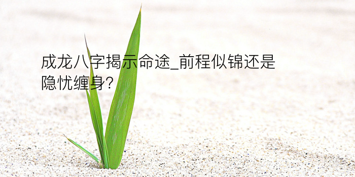 八字算命八字运程游戏截图