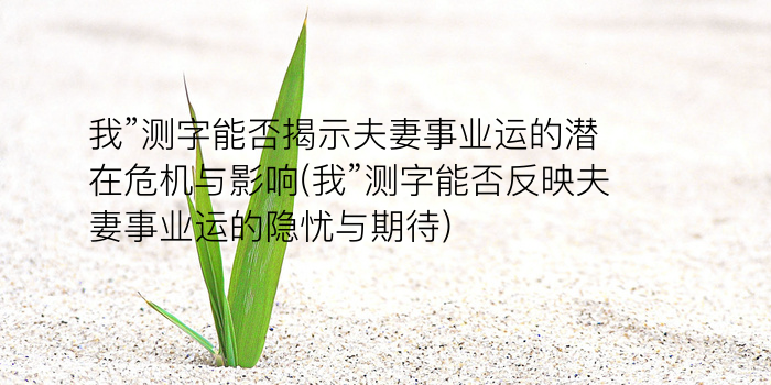 瓷都姓名测试游戏截图