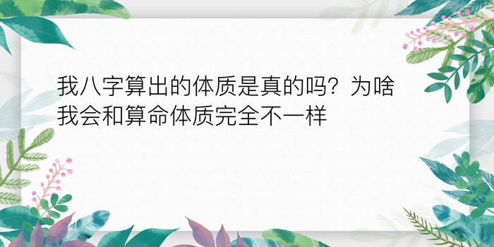 八字配婚姻配对游戏截图