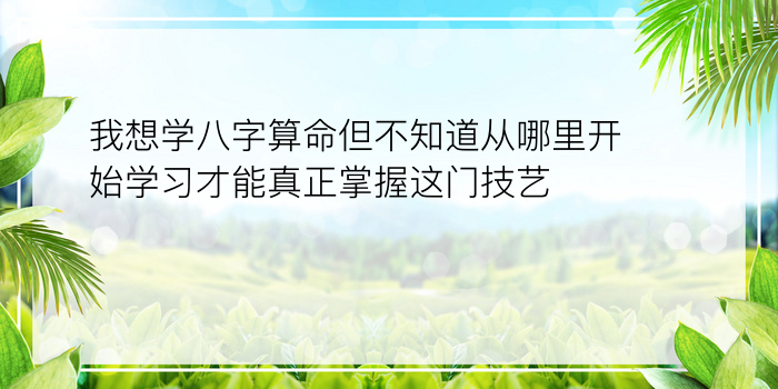 我想学八字算命但不知道从哪里开始学习才能真正掌握这门技艺