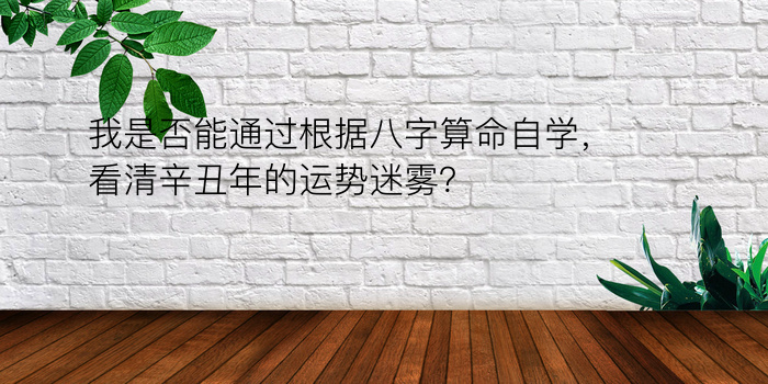 我是否能通过根据八字算命自学，看清辛丑年的运势迷雾？