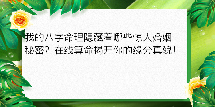 四柱八字算命详解游戏截图