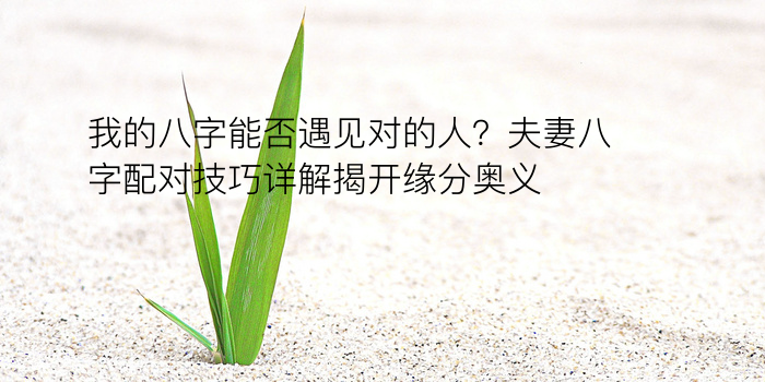 爱情八字算命游戏截图